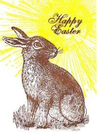 Happy Easter, Sunny Bunny