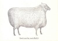 Ewe's Not Fat!