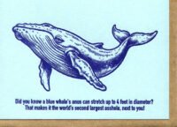 A Blue Whale's Anus